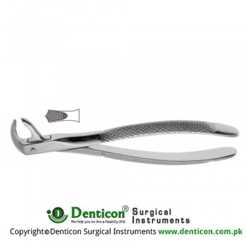 Hawk's Bill English Pattern Tooth Extracting Forcep Fig. 73 (For Lower Molars) Stainless Steel, Standard